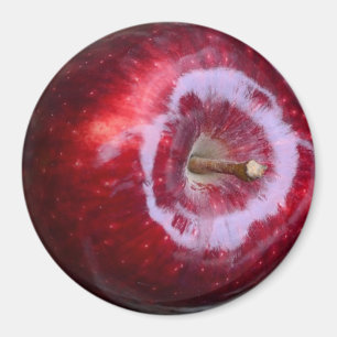 Realistic Yummy Red Apple Refrigerator Magnet