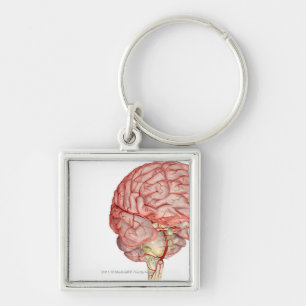 Realitic rendering of the human brain key ring