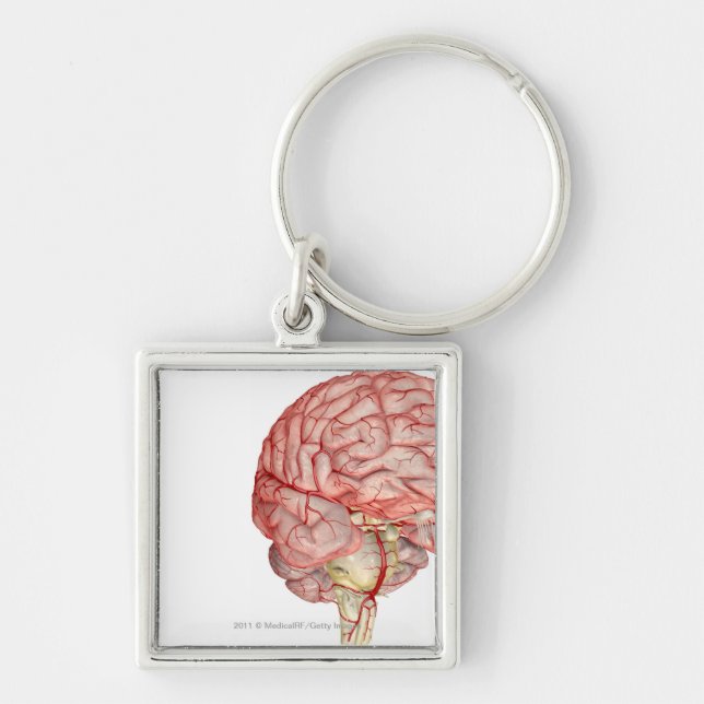 Realitic rendering of the human brain key ring (Front)