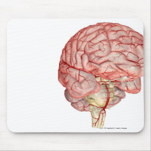 Realitic rendering of the human brain mouse pad