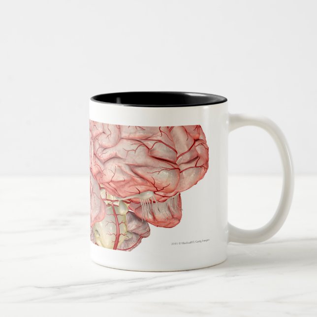 Realitic rendering of the human brain Two-Tone coffee mug (Right)