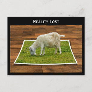 Reality Lost Goat Grazing on Paper Grass Postcard
