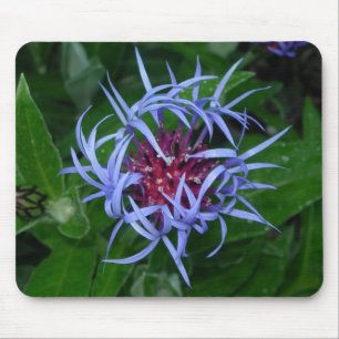 Really cool looking blue flower mousepad