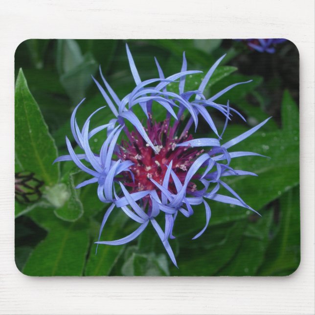 Really cool looking blue flower mousepad (Front)