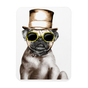 Really Cute Steam Pug With Glasses Magnet