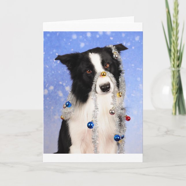 Really? Holiday Card (Front)