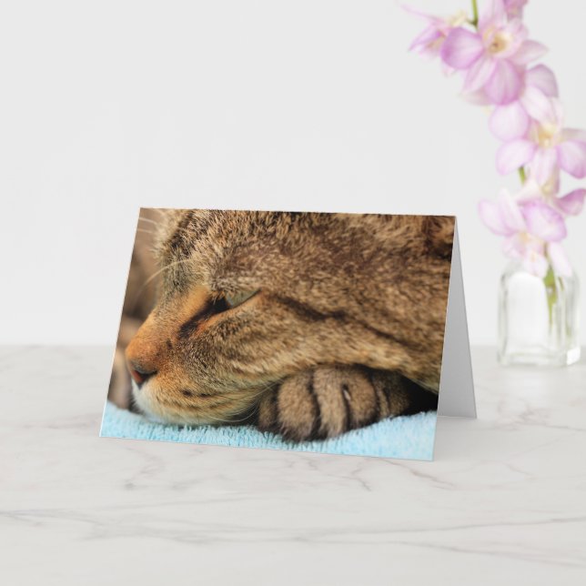 Really Missing You Cat Card (Orchid)