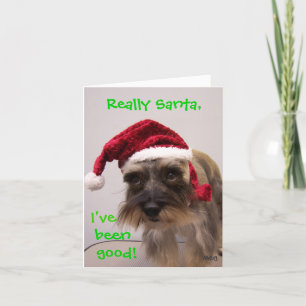 Really Santa! Holiday Card