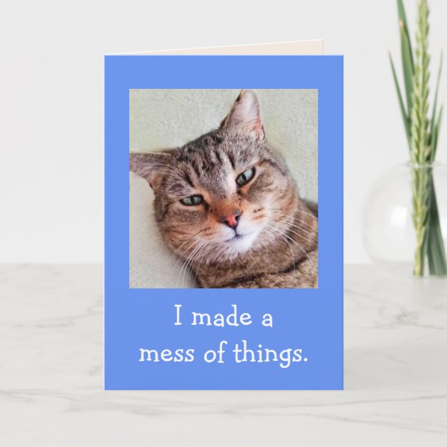 Really Sorry Cute Cat Apology Card (Front)