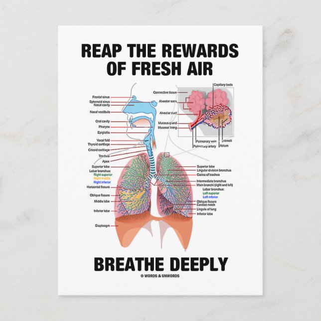 Reap The Rewards Of Fresh Air Breathe Deeply Postcard (Front)
