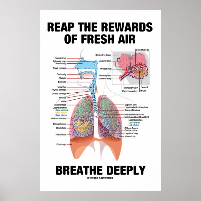 Reap The Rewards Of Fresh Air Breathe Deeply Poster (Front)