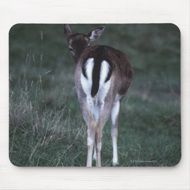 Rear view of a deer , New Zealand Mouse Pad (Front)