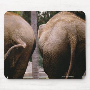 Rear view of Asian elephants Mouse Pad
