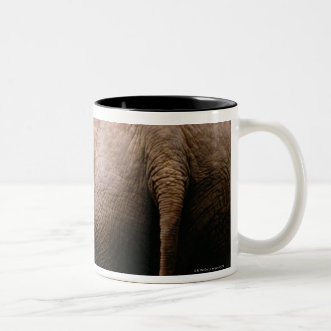 Rear view of Asian elephants Two-Tone Coffee Mug (Right)