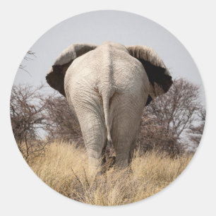 Rear view of elephant classic round sticker