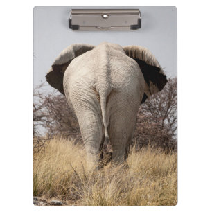 Rear view of elephant clipboard