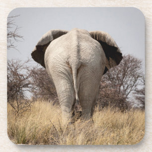 Rear view of elephant coaster