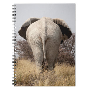Rear view of elephant notebook
