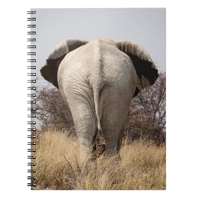 Rear view of elephant notebook (Front)