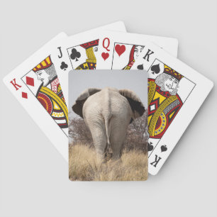 Rear view of elephant playing cards