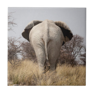 Rear view of elephant tile