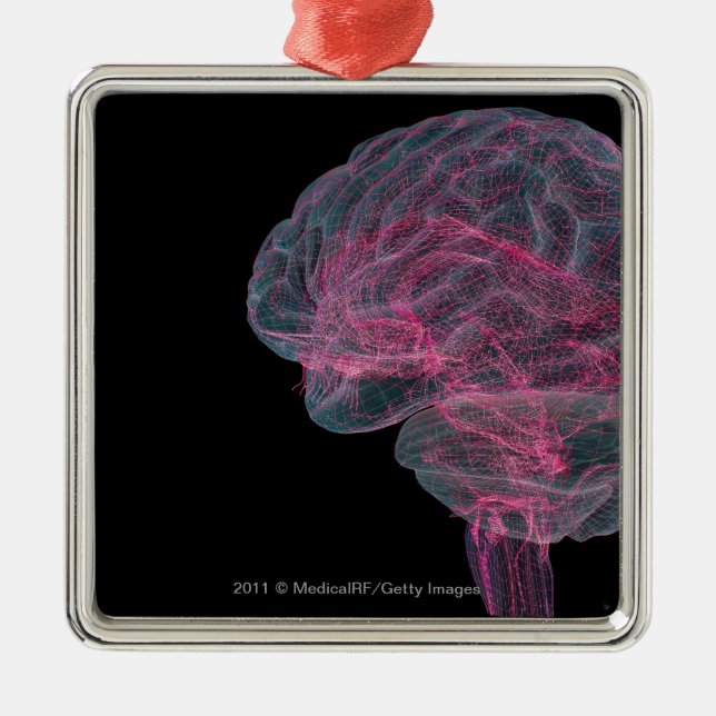 Rear view of the human brain metal tree decoration (Front)