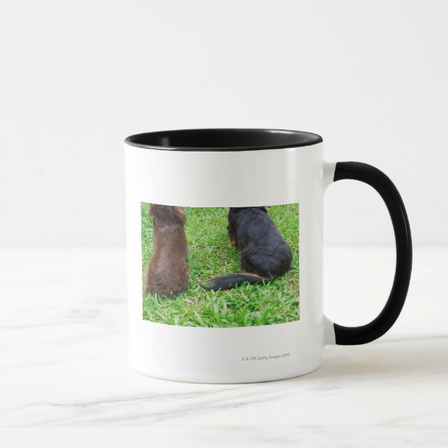 Rear view of two Dachshund dogs Mug (Right)