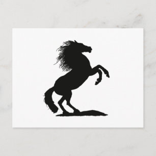 Rearing Black Stallion - Postcard