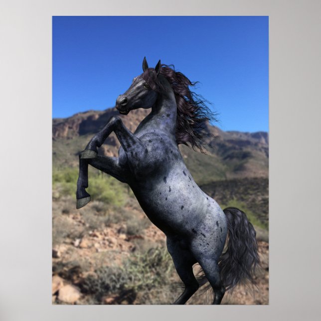 Rearing Blue Roan Horse in the Desert Art Print (Front)