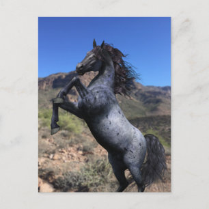 Rearing Blue Roan Horse in the Desert Postcard