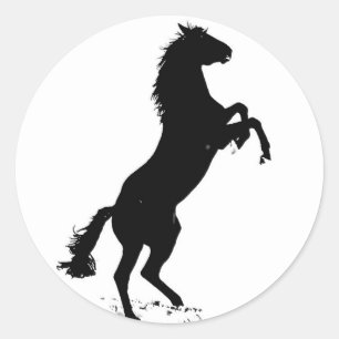 Rearing Horse Classic Round Sticker