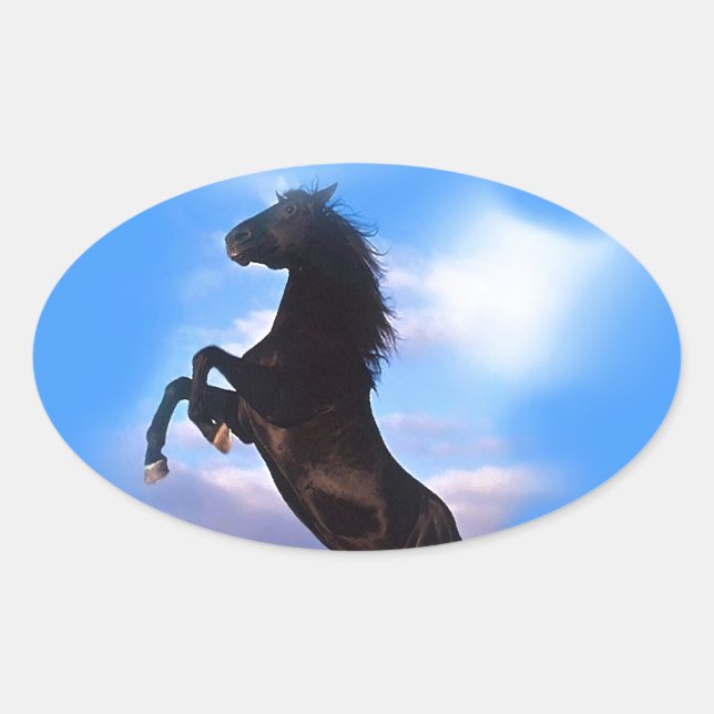Rearing Horse Oval Sticker (Front)