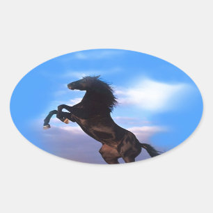Rearing Horse Oval Sticker