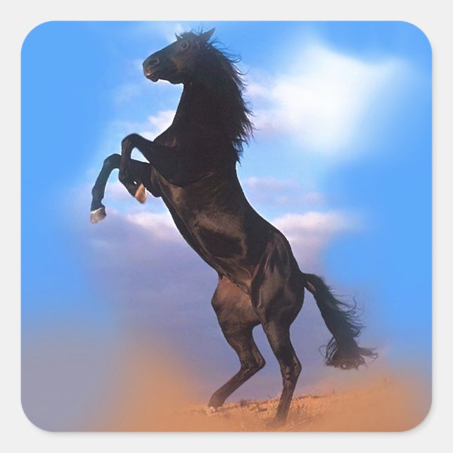 Rearing Horse Square Sticker (Front)