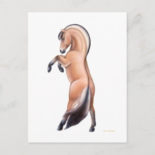Rearing Norwegian Fjord Horse Postcard