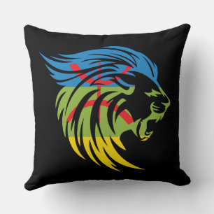 Reasons for the Kabyle Amazigh pottery Cushion
