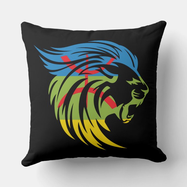 Reasons for the Kabyle Amazigh pottery Cushion (Back)