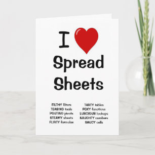 Reasons I Love Spreadsheets   Accountant Birthday Card