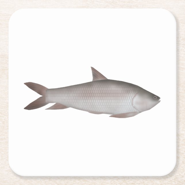 Reba Carp Square Paper Coaster (Front)