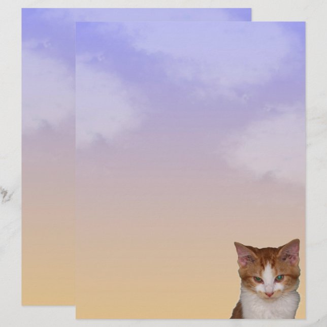 Reba's Cat-itude Stationery (Front/Back)