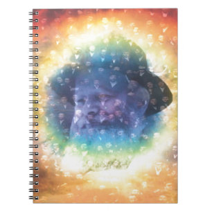 Rebbe Notebook