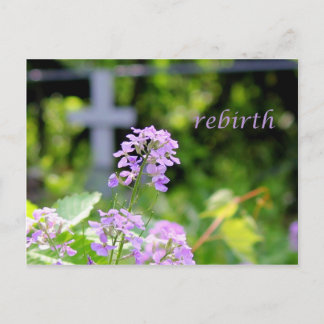 rebirth postcard