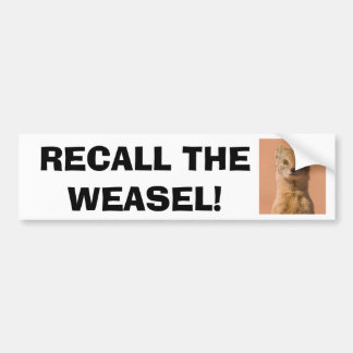 Recall Governor Walker Bumper Sticker