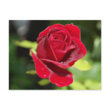 Recipe card Chocolate Chip Peanut Butter Cookie