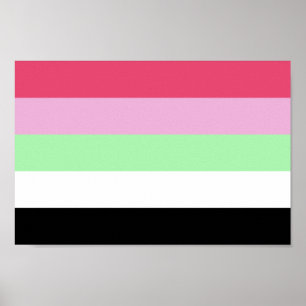 Recipromantic Pride Poster