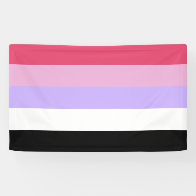 Reciprosexual Pride Banner (Horizontal)