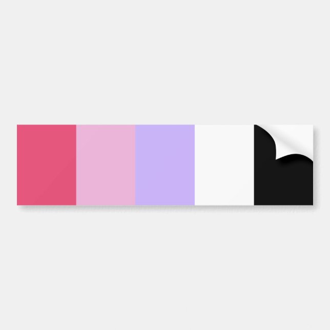 Reciprosexual Pride Bumper Sticker (Front)