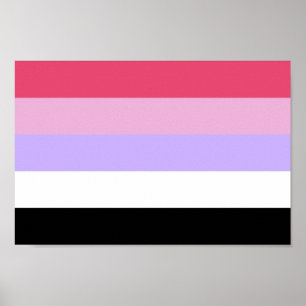 Reciprosexual Pride Poster