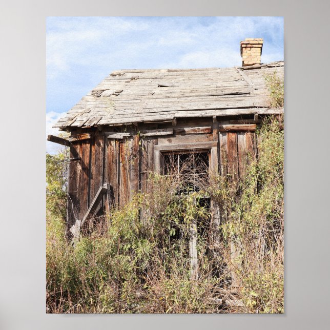 Reclaimed By Nature Poster (Front)