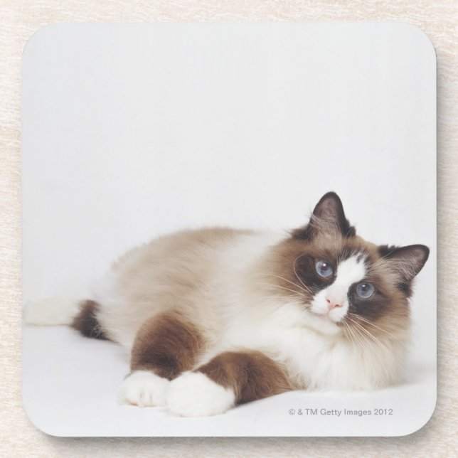 Reclining Cat Coaster (Front)